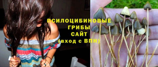 хмурый Алексеевка